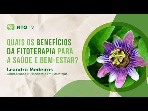 Quais os benefícios da Fitoterapia para a saúde e bem-estar?